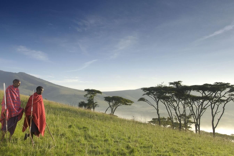 Excursion d'une journée au cratère du Ngorongoro et à la culture Masai