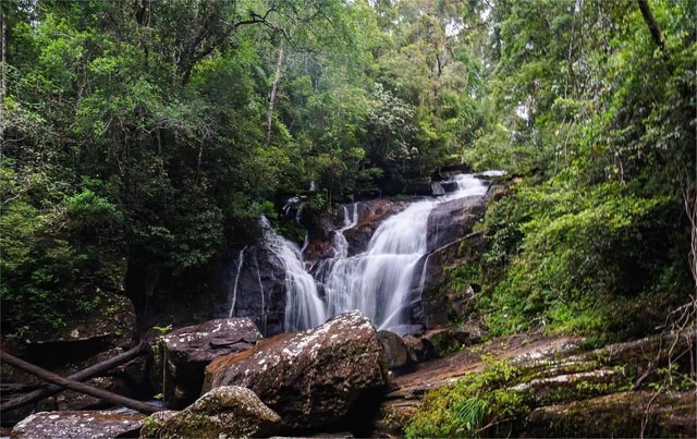 From South Coast: Sinharaja Rainforest Day Trip
