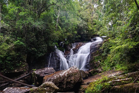 From South Coast: Sinharaja Rainforest Day Trip From Galle: Sinharaja Day Trip