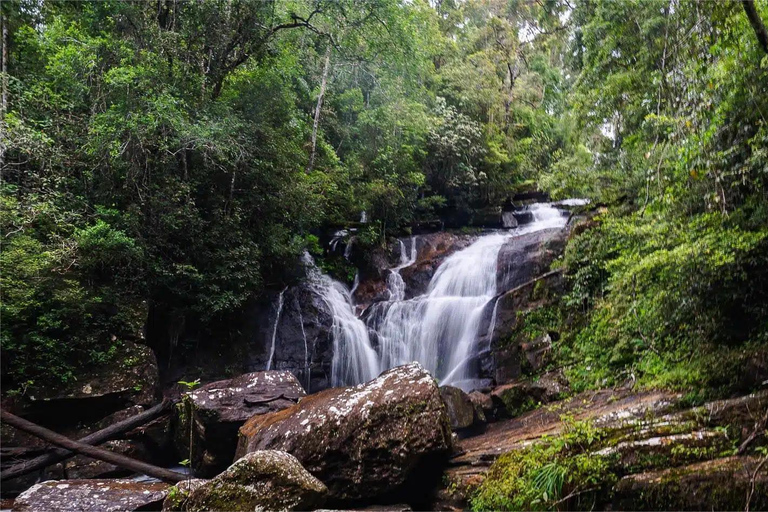 From South Coast: Sinharaja Rainforest Day Trip From Galle: Sinharaja Day Trip