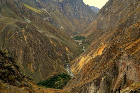 Excursión de 2 días y 1 noche / Cañón del Colca