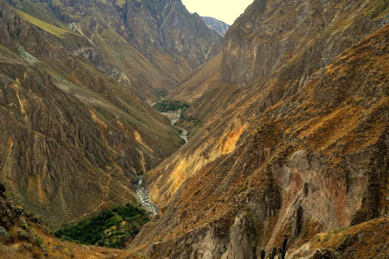 2 dag 1 nacht trektocht / Colca Canyon