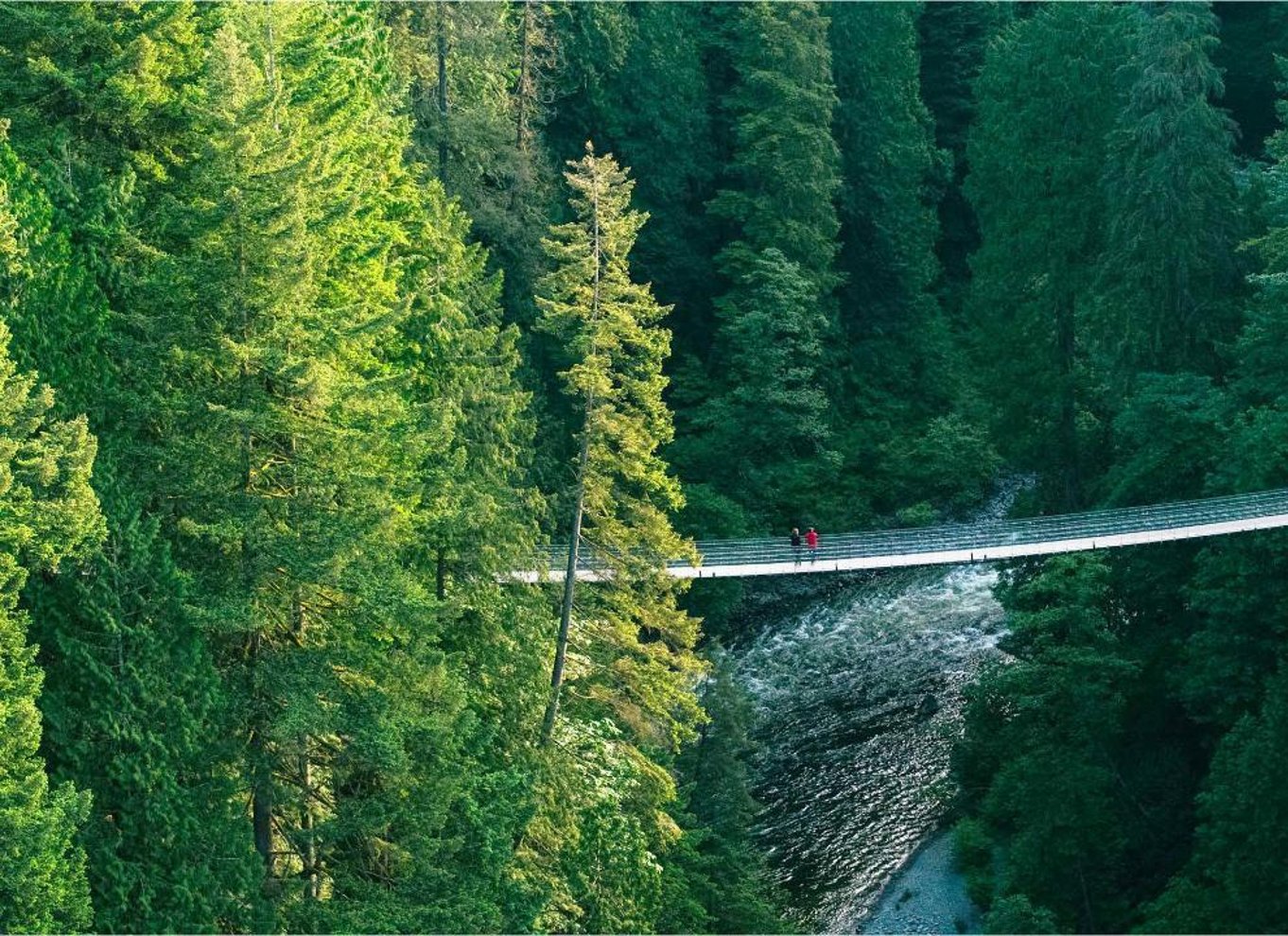 Vancouver: Capilano Suspension Bridge Park billet