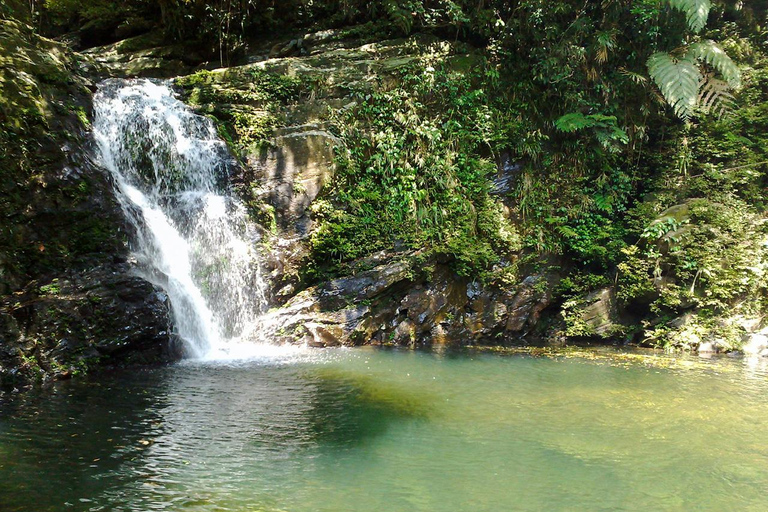 Desde Da Nang: Trekking en el Parque Nacional Bach MaTour privado