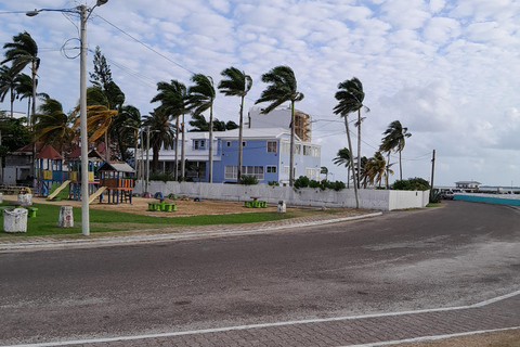 Belize: City Highlights Tour with Rum Distillery Visit