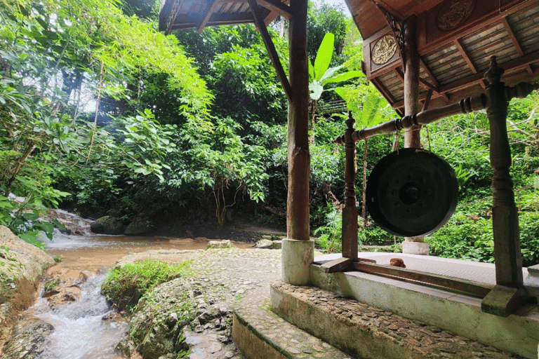 Aldeia de Mae Kampong, cascata, fontes termais (privado)