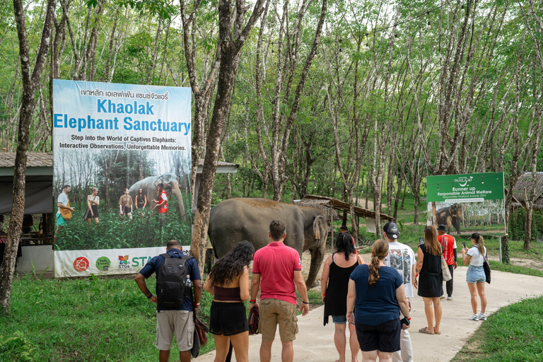 Khaolak Hightlight Jungle Trekking with Eco Guide Day Tour