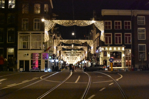 Amsterdam : Tour en bateau du festival des lumières avec collations et boissons