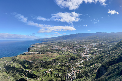 Puerto de la Cruz: Quad Tour with Off-Road Route, Viewpoints & Photos Single Quad (1 person per quad)