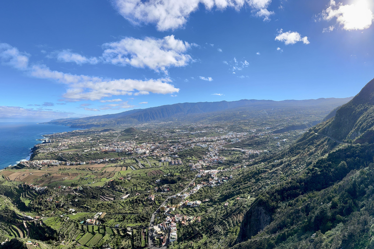 Puerto de la Cruz: Quad Tour with Off-Road Route, Viewpoints & Photos Single Quad (1 person per quad)