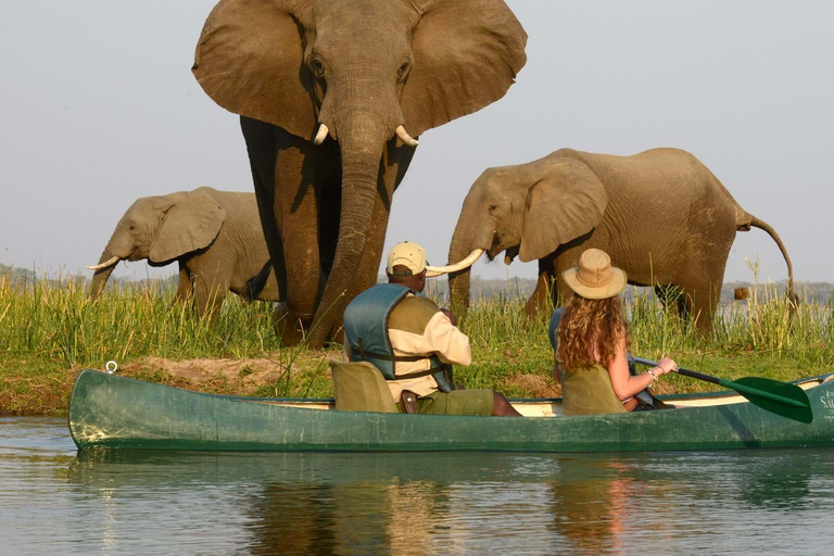 Escalada do Monte Kilimanjaro pelo circuito norte 8 diasMontanha Kilimanjaro caminhando no circuito norte