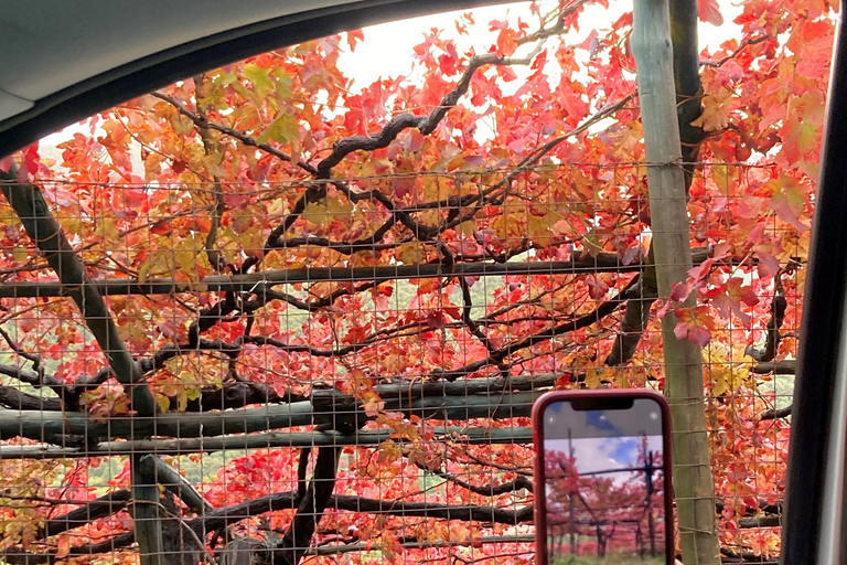 Sorrento: Amalfi Coast Tour with Boat Ride Option