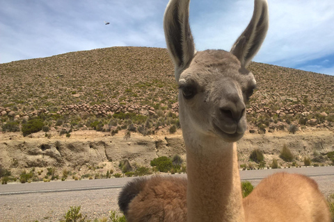 Peru: 21-day round trip to the highlights