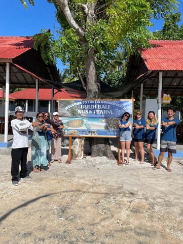 From Bali/Nusa Penida : Snorkeling & Turtle Education Tour