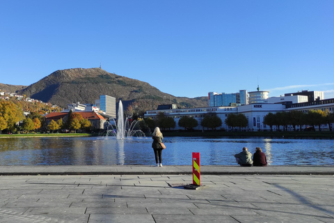 Bergen: Private tour in your own language