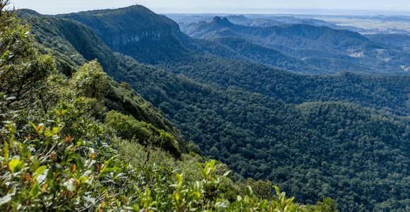 Spring Brook National Park Driving Tour with an APP