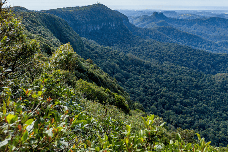 Spring Brook National Park Self Guided Driving Tour