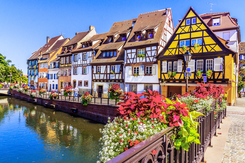 The 4 Wonders of Alsace Day Tour from Colmar