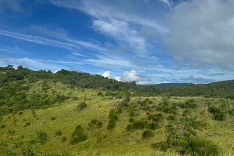 Recorrido autoguiado a pie por la isla de Molle Sur