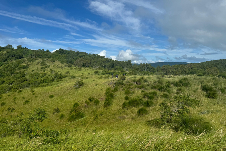 South Molle Island Self Guided Walking Tour