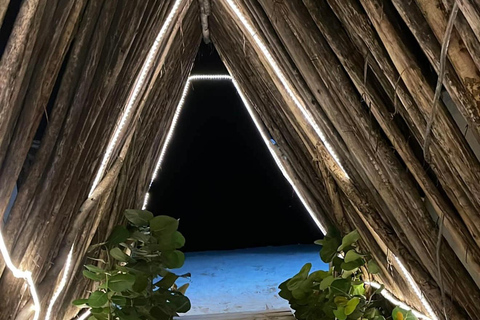 4-Day Full VIP Package: Saona Island + City Tours + Bahia de las Aguilas From Santo Domingo 4 Days Saona Island + City Tours + Bahia de las Aguilas