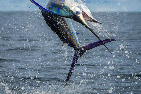 Fishing sporting zanzibar