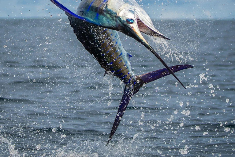 Fishing sporting zanzibar