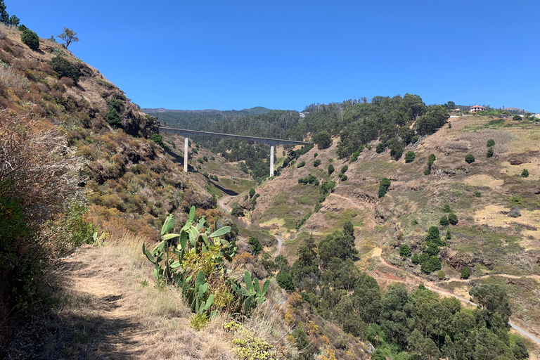 Madeira: Private Sightseeing Tour for 1-2 Persons