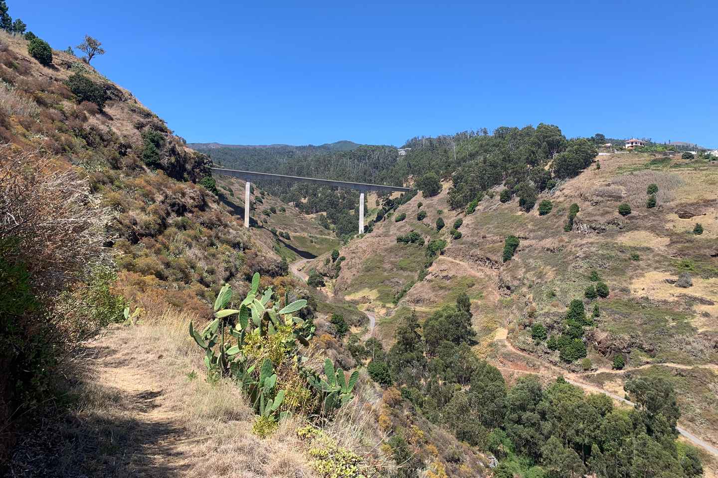 Madeira: Private Sightseeing Tour for 1-2 Persons