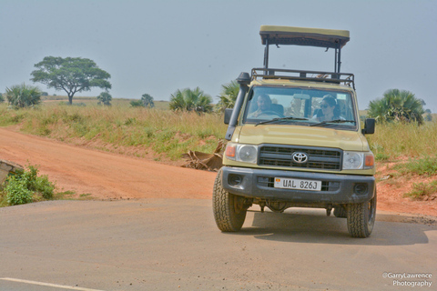 Rastreamento de gorilas no Parque Nacional Impenetrável de Bwindi, UgandaObservação de gorilas no Parque Nacional Impenetrável de Bwindi, Uganda