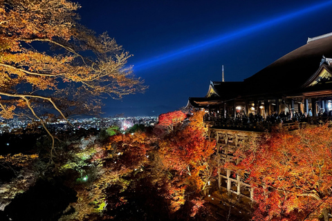 Kyoto Day Trip from Tokyo by Bullet Train Private Tour