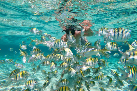 From Bavaro, Punta Cana: Boat Party, Snorkeling, Drinks, Snacks, and Transportation