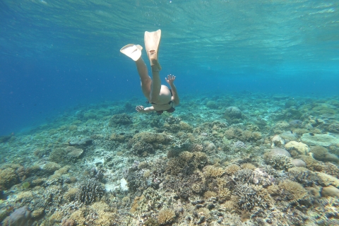 Prywatna wycieczka na snorkeling z Gili Trawangan