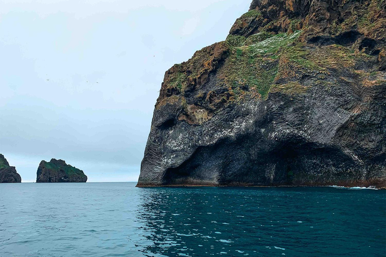 Depuis Reykjavik : Tour des macareux et des volcans dans les îles Westman