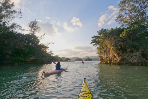 Okinawa: Private Kayak Mangrove or Reef with Native EnglishOkinawa: Private Kayak Tour with English-Speaking Guide
