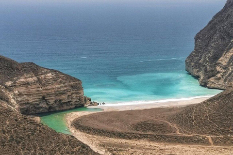 Salalah | Spiaggia di Fazayah, spiaggia di Mughsail e alberi di incenso