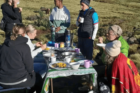 Addis Ababa: 8-Day Bahirdar, Gondar, Lalibela & Abune Yemata