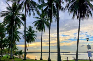 Singapur: Malerische Radtour mit Sonnenuntergang & Essen