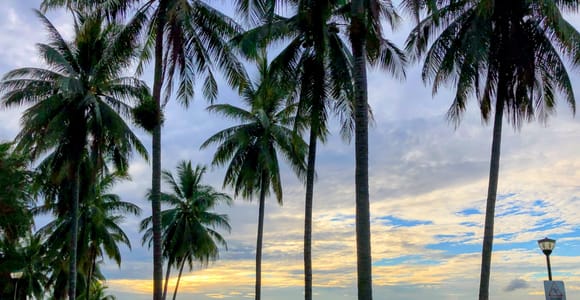 Singapore: Scenic Cycling Tour with Sunset & Food