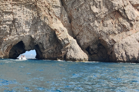 L&#039;Estartit: Costa Brava Excursión en barco a Les Illes Medes