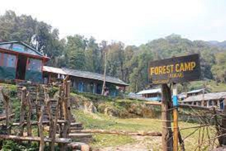 Z Pokhara Budget: 5-dniowy trekking Mardi Himal Base CampZ Pokhary: budżet 4 noce 5 dni Mardi himal trek