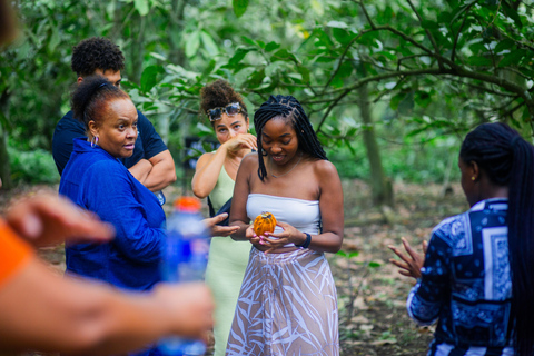 Accra: Giardino Botanico di Aburi, Fattoria del Cacao e Cascata ...