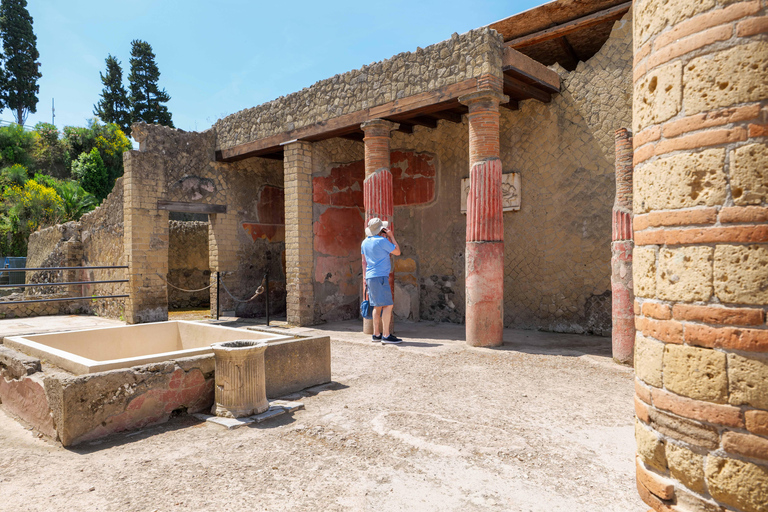 Herculaneum Guided Tour with Fast Train from Rome French language tour