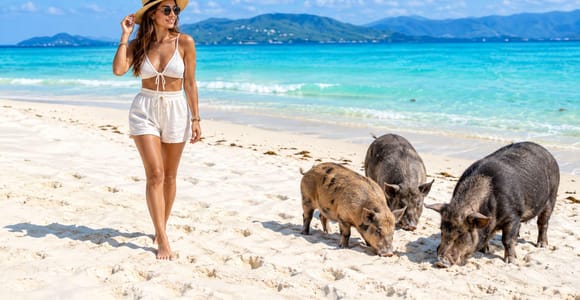 Koh Samui: Pig Island Speedboat Trip with Beach & Transfers