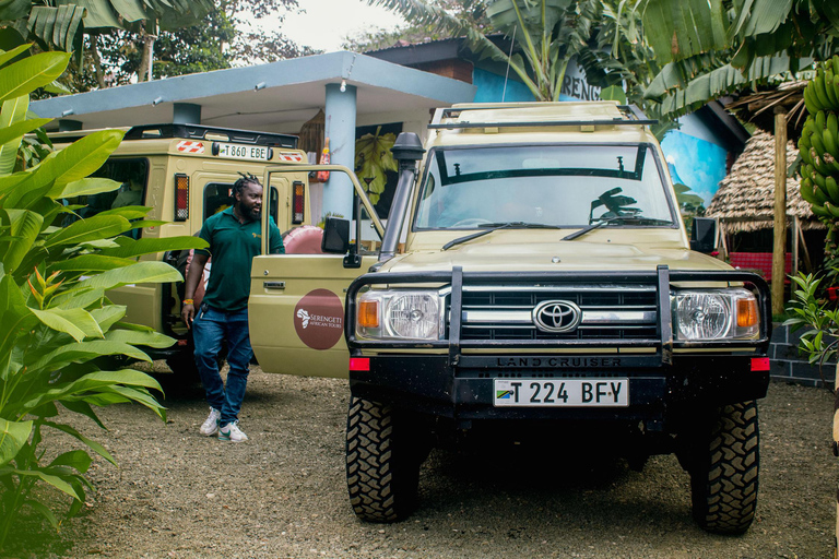 Arusha: Safari di 5 giorni nel Serengeti durante la stagione dei parti a NdutuArusha: Safari di 5 giorni nella stagione dei parti a Ndutu nel Serengeti