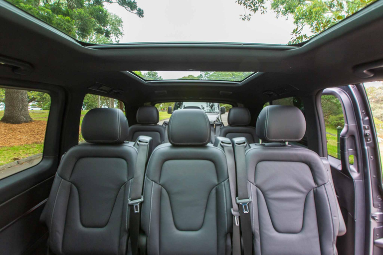 Private Sydney Beaches Escape Tour Private Group Tour