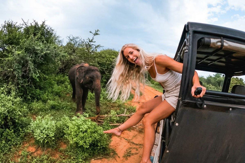 Yala National park Entry eTicket