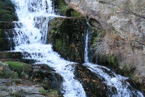 Tbilisi: Top to Bottom - Gardens, Waterfalls & Hidden Gems Small Group - Gardens, Waterfalls & Hidden Gems
