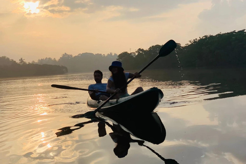Mirissa: Kayaking & Bird watching Experience Sunrise or Sunset Bird watching Kayaking (Pickup included)