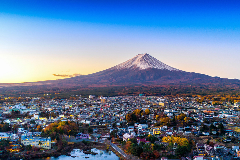 طوكيو: جولة خاصة قابلة للتخصيص ليوم كامل في جبل فوجي